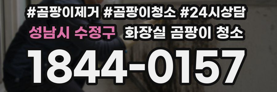 성남시 수정구 화장실 곰팡이 청소