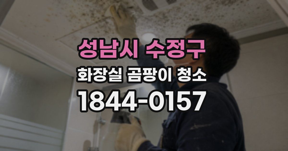 성남시 수정구 화장실 곰팡이 청소