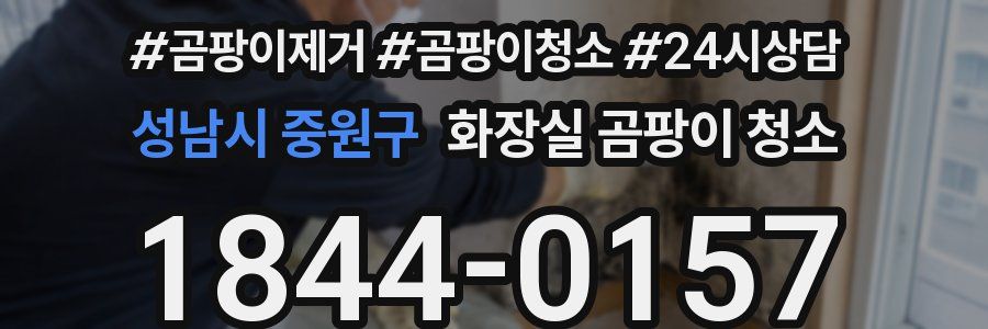 성남시 중원구 화장실 곰팡이 청소