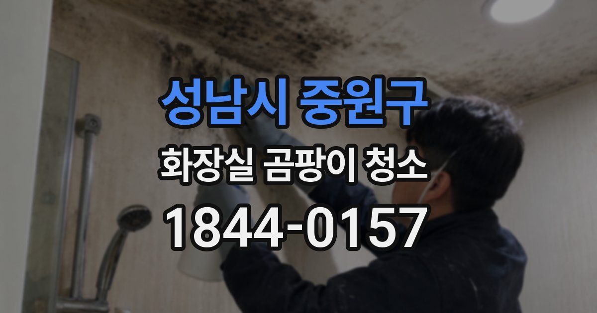 성남시 중원구 화장실 곰팡이 청소