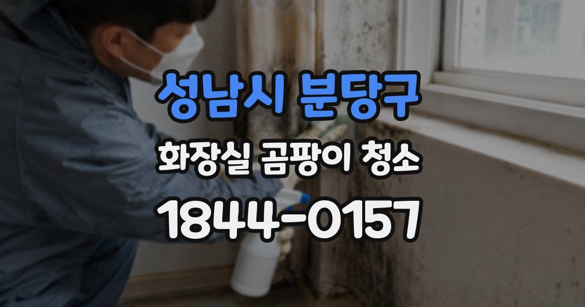 성남시 분당구 화장실 곰팡이 청소