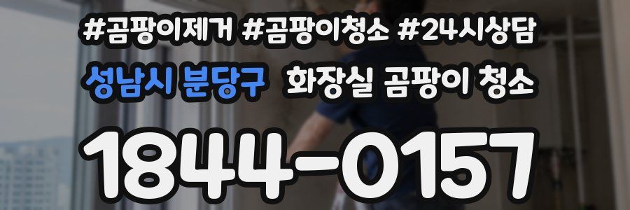 성남시 분당구 화장실 곰팡이 청소