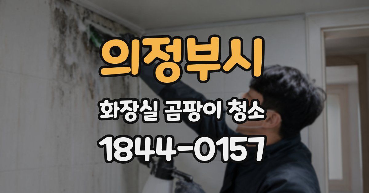 의정부시 화장실 곰팡이 청소
