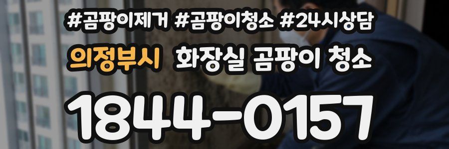 의정부시 화장실 곰팡이 청소