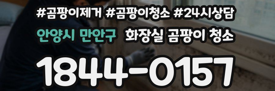 안양시 만안구 화장실 곰팡이 청소