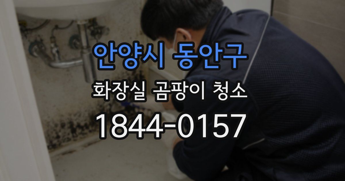 안양시 동안구 화장실 곰팡이 청소