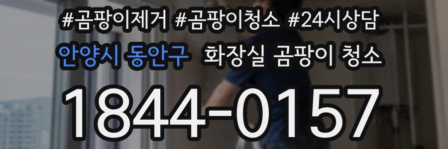 안양시 동안구 화장실 곰팡이 청소