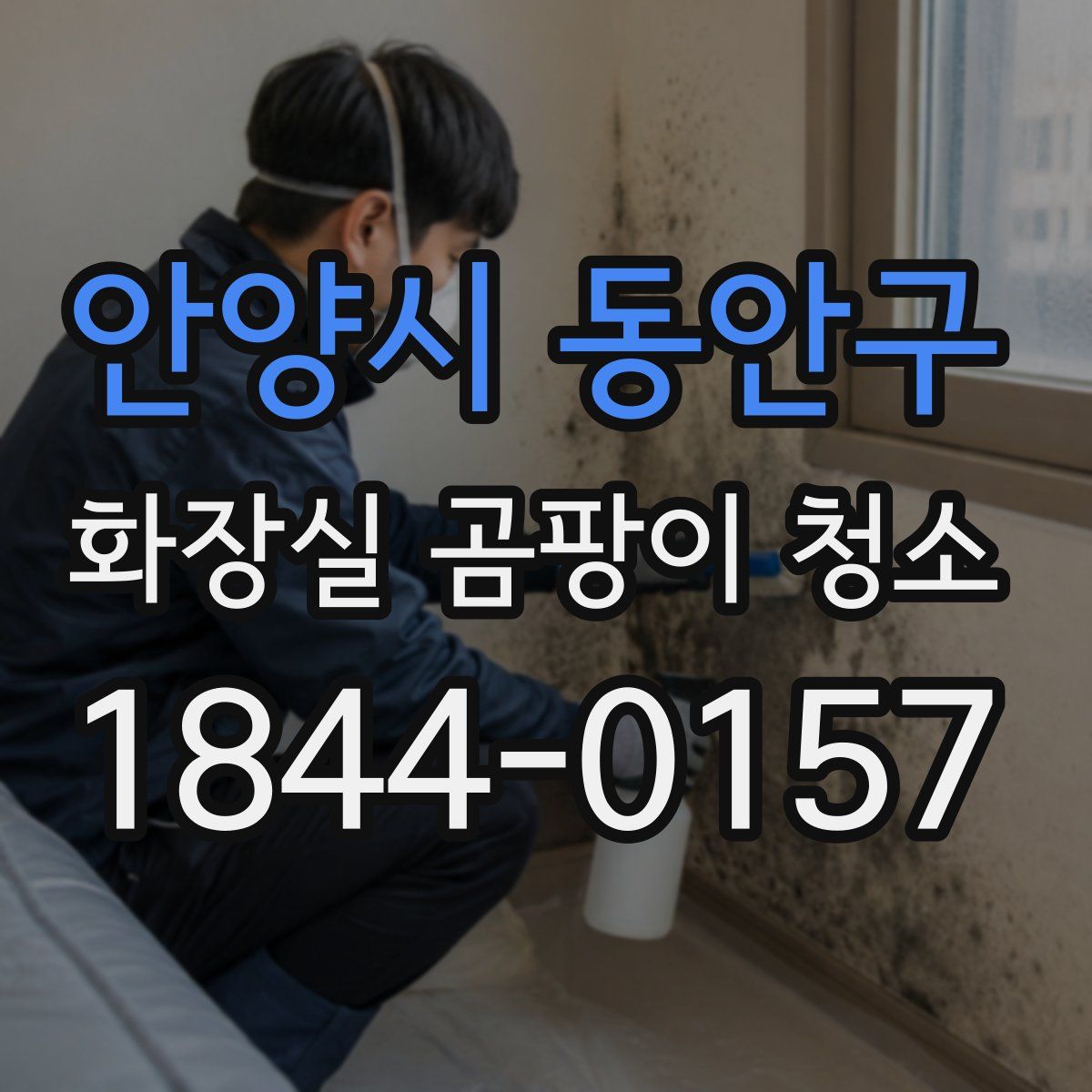 안양시 동안구 화장실 곰팡이 청소