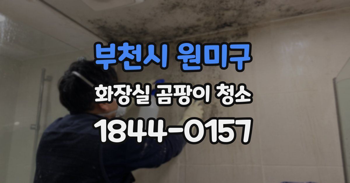 부천시 원미구 화장실 곰팡이 청소