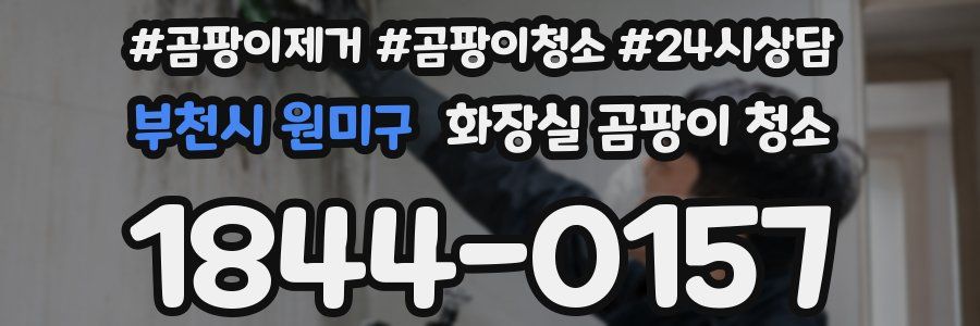 부천시 원미구 화장실 곰팡이 청소