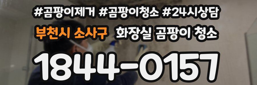 부천시 소사구 화장실 곰팡이 청소