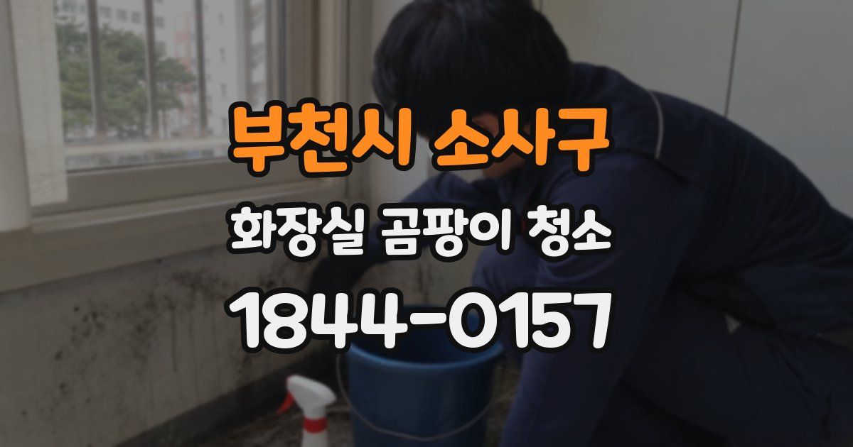 부천시 소사구 화장실 곰팡이 청소