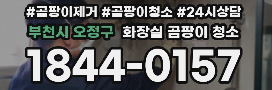 부천시 오정구 화장실 곰팡이 청소