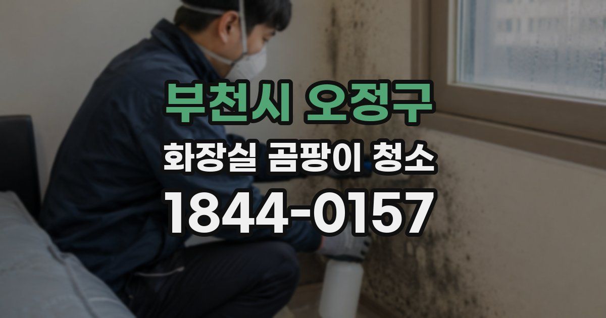 부천시 오정구 화장실 곰팡이 청소