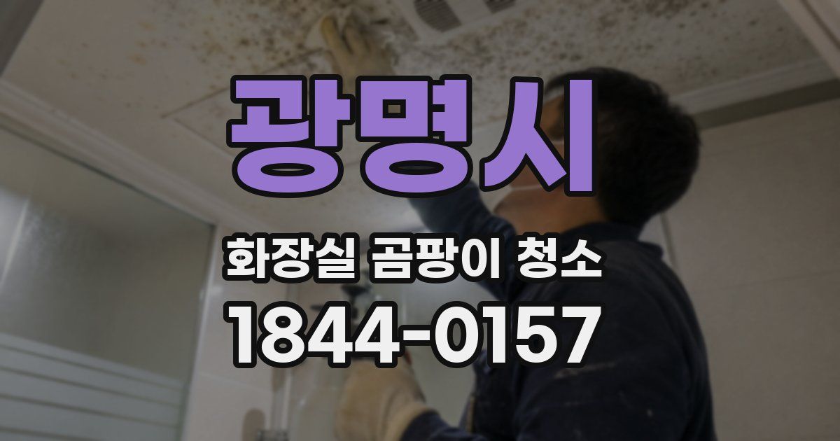 광명시 화장실 곰팡이 청소