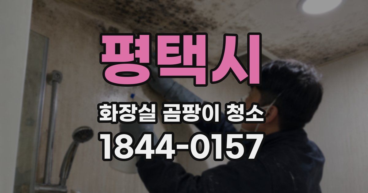 평택시 화장실 곰팡이 청소