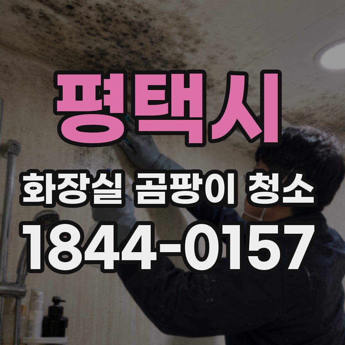 평택시 화장실 곰팡이 청소