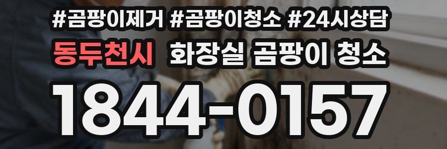동두천시 화장실 곰팡이 청소