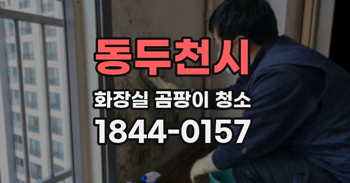 동두천시 화장실 곰팡이 청소