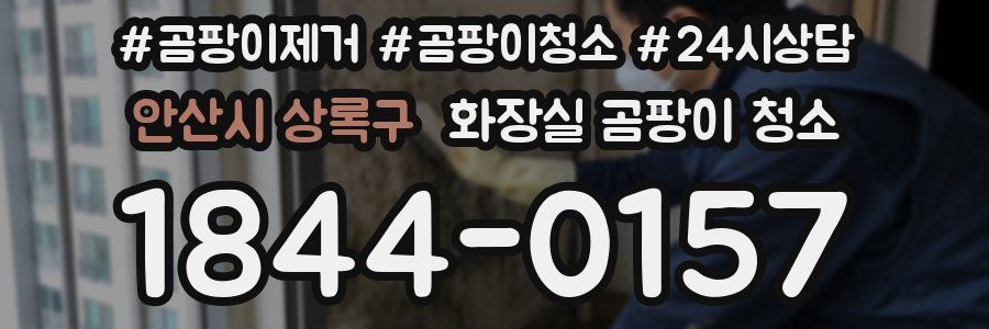 안산시 상록구 화장실 곰팡이 청소