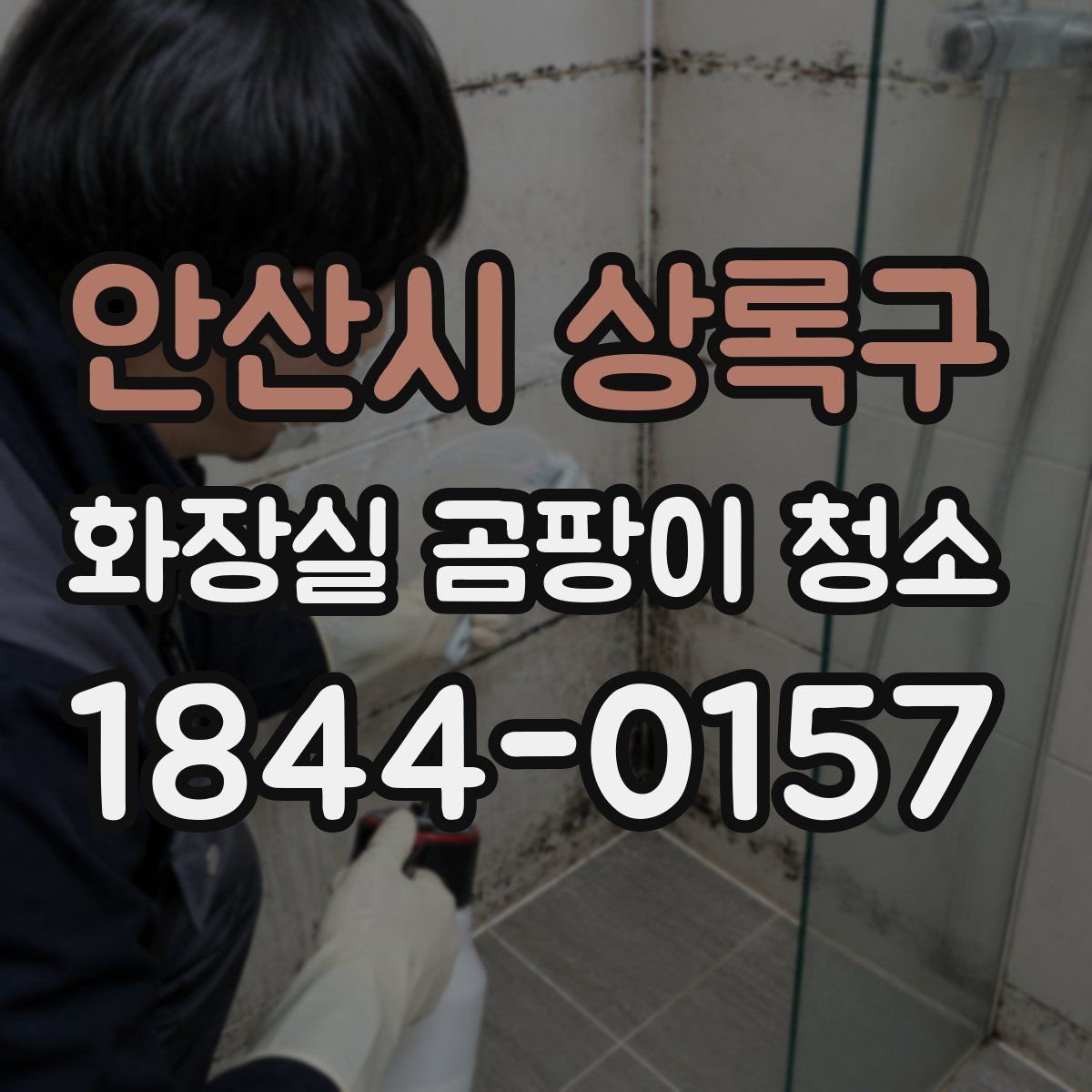 안산시 상록구 화장실 곰팡이 청소