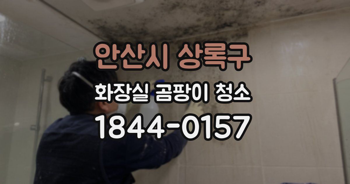 안산시 상록구 화장실 곰팡이 청소