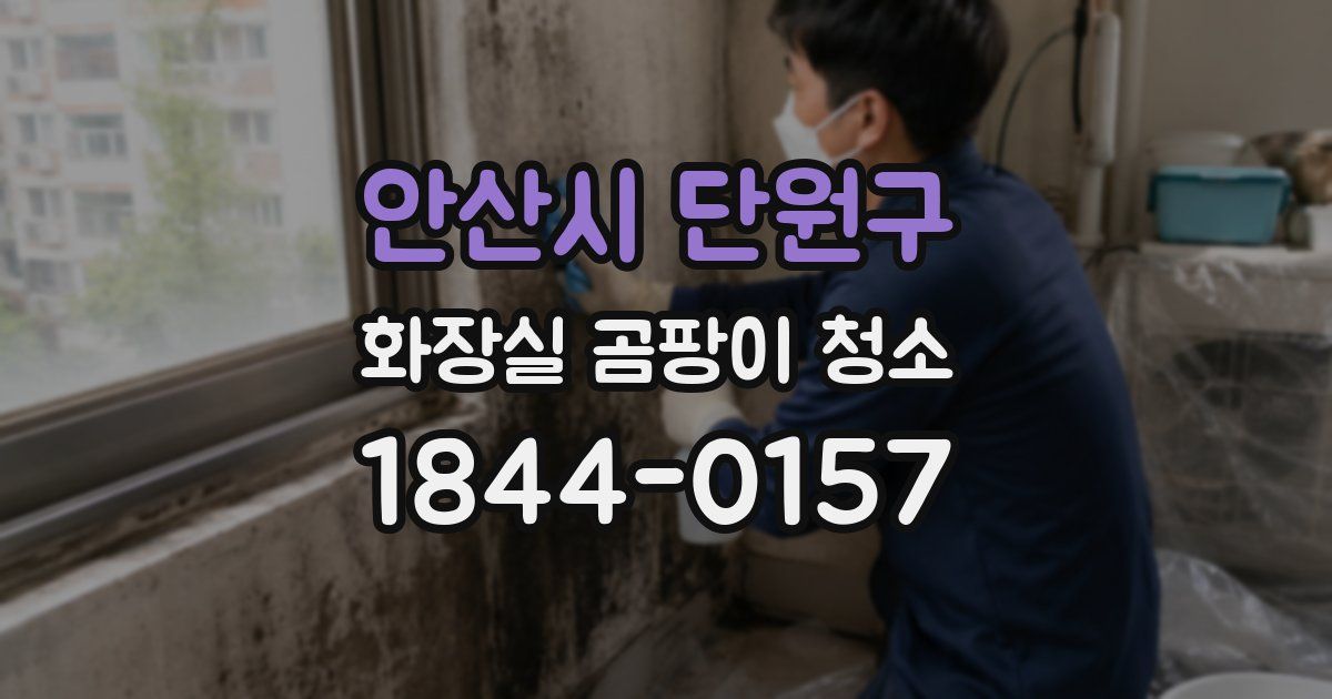 안산시 단원구 화장실 곰팡이 청소