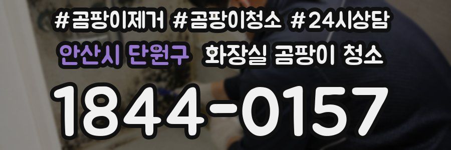안산시 단원구 화장실 곰팡이 청소