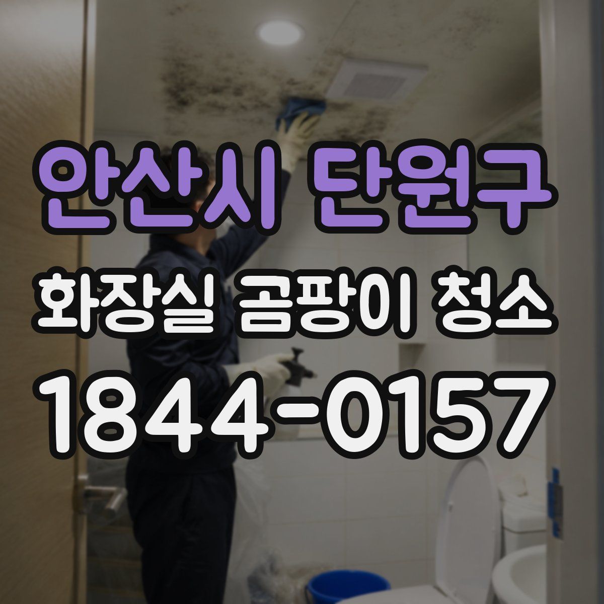 안산시 단원구 화장실 곰팡이 청소