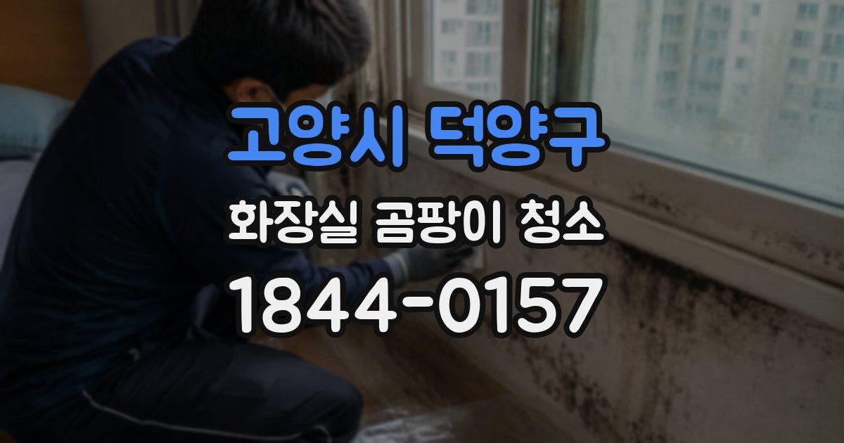 고양시 덕양구 화장실 곰팡이 청소