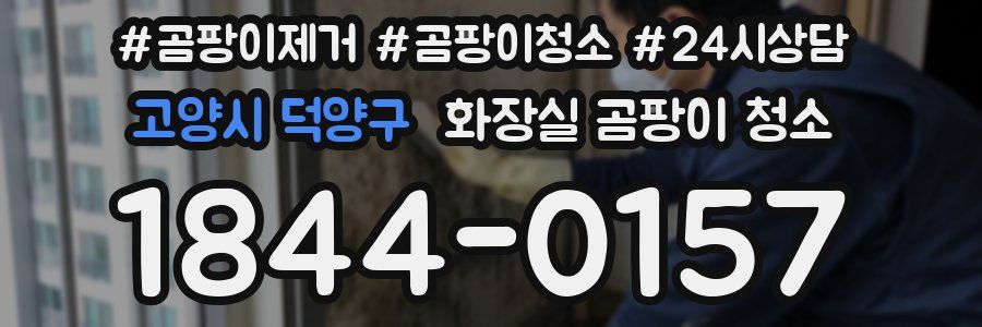 고양시 덕양구 화장실 곰팡이 청소