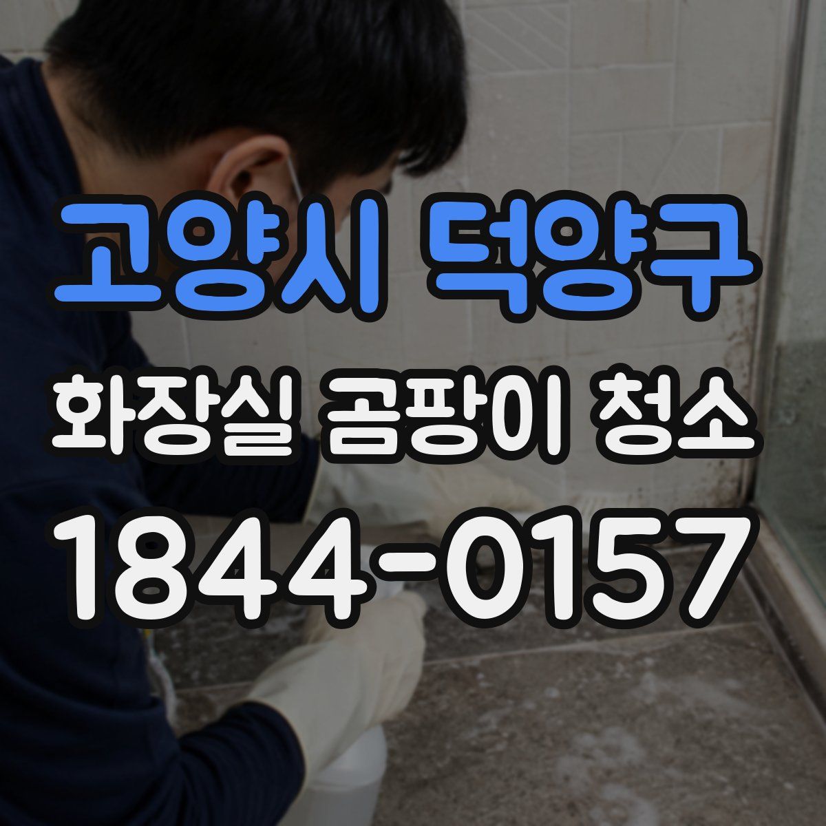 고양시 덕양구 화장실 곰팡이 청소