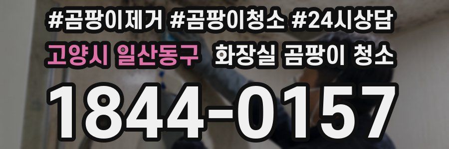 고양시 일산동구 화장실 곰팡이 청소