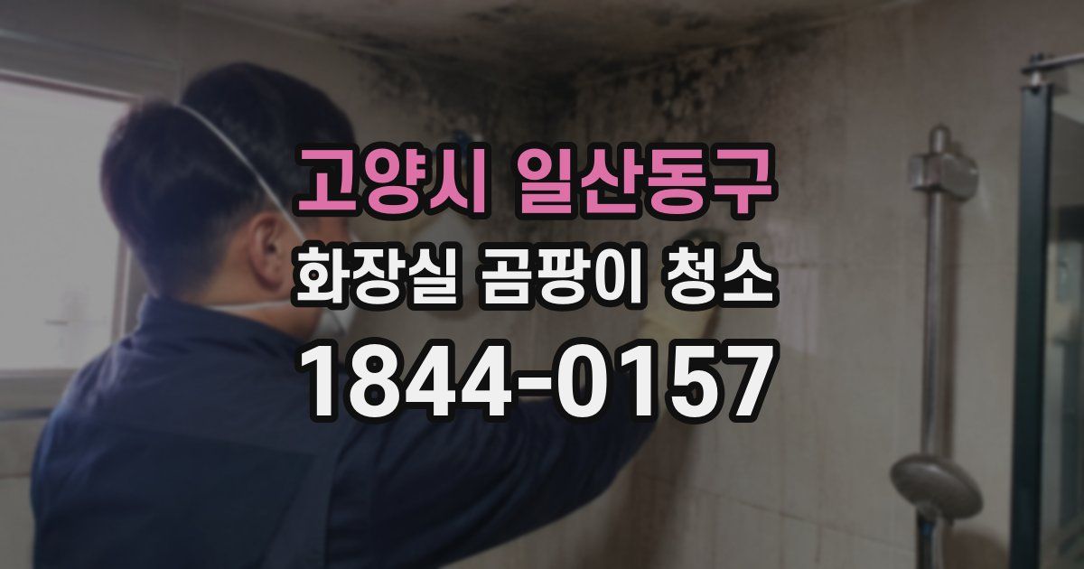 고양시 일산동구 화장실 곰팡이 청소