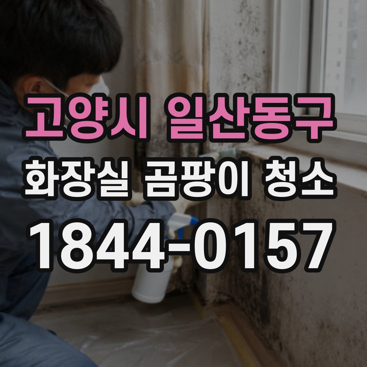 고양시 일산동구 화장실 곰팡이 청소