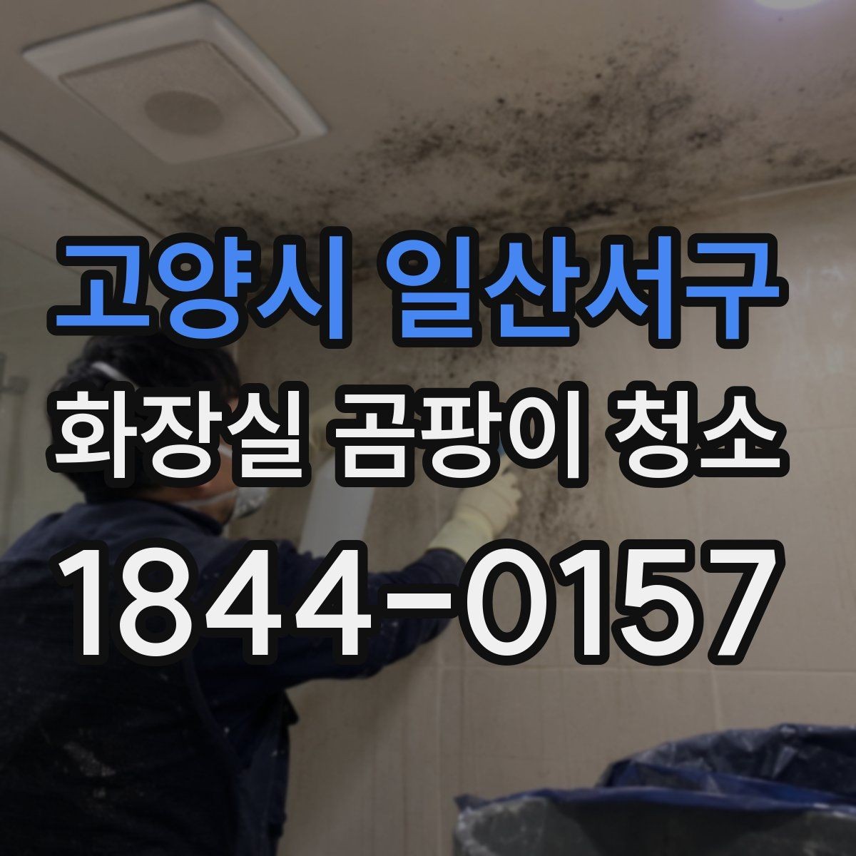 고양시 일산서구 화장실 곰팡이 청소 후 습도 낮추는 생활 습관