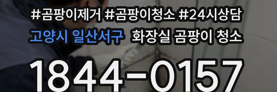 고양시 일산서구 화장실 곰팡이 청소