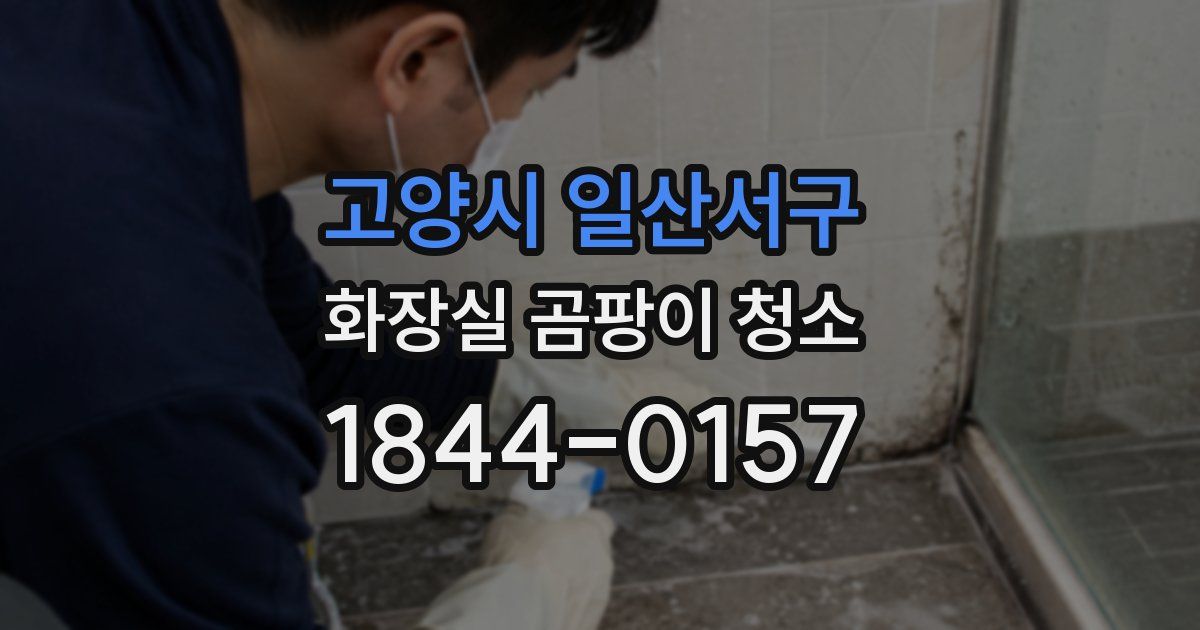 고양시 일산서구 화장실 곰팡이 청소