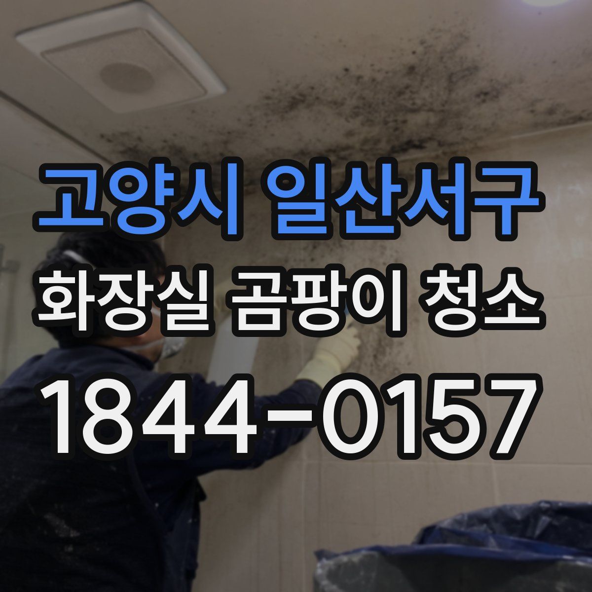 고양시 일산서구 화장실 곰팡이 청소