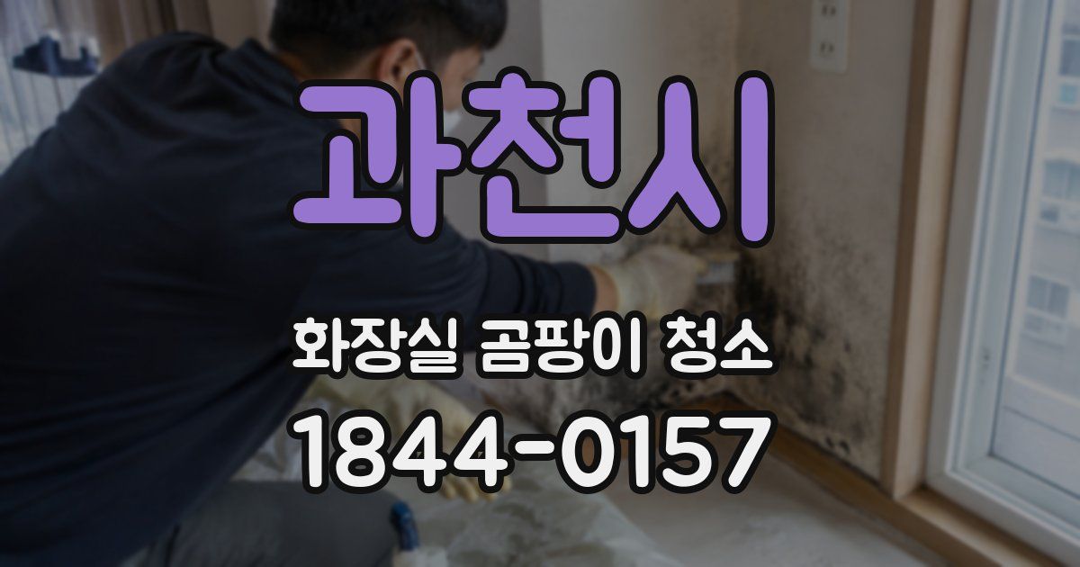 과천시 화장실 곰팡이 청소
