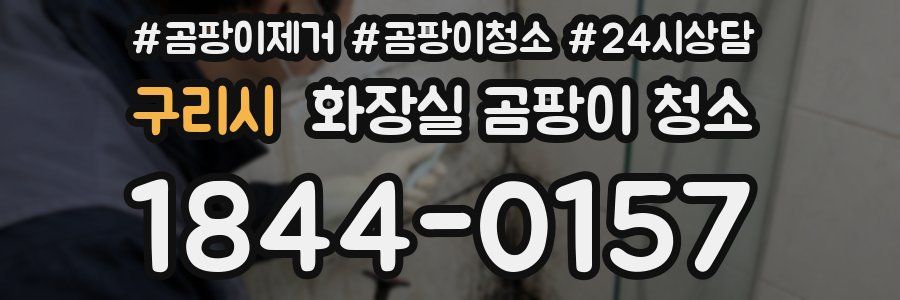 구리시 화장실 곰팡이 청소