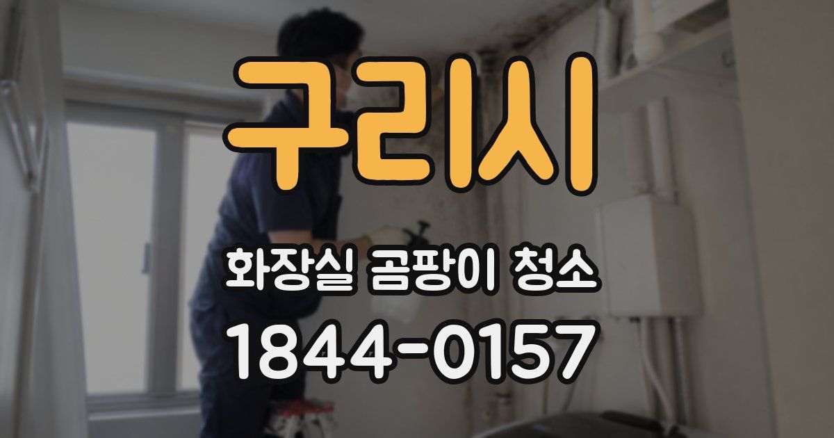 구리시 화장실 곰팡이 청소
