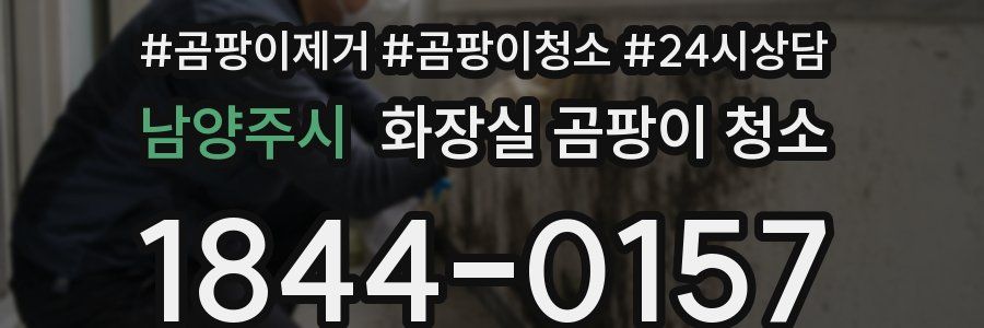 남양주시 화장실 곰팡이 청소