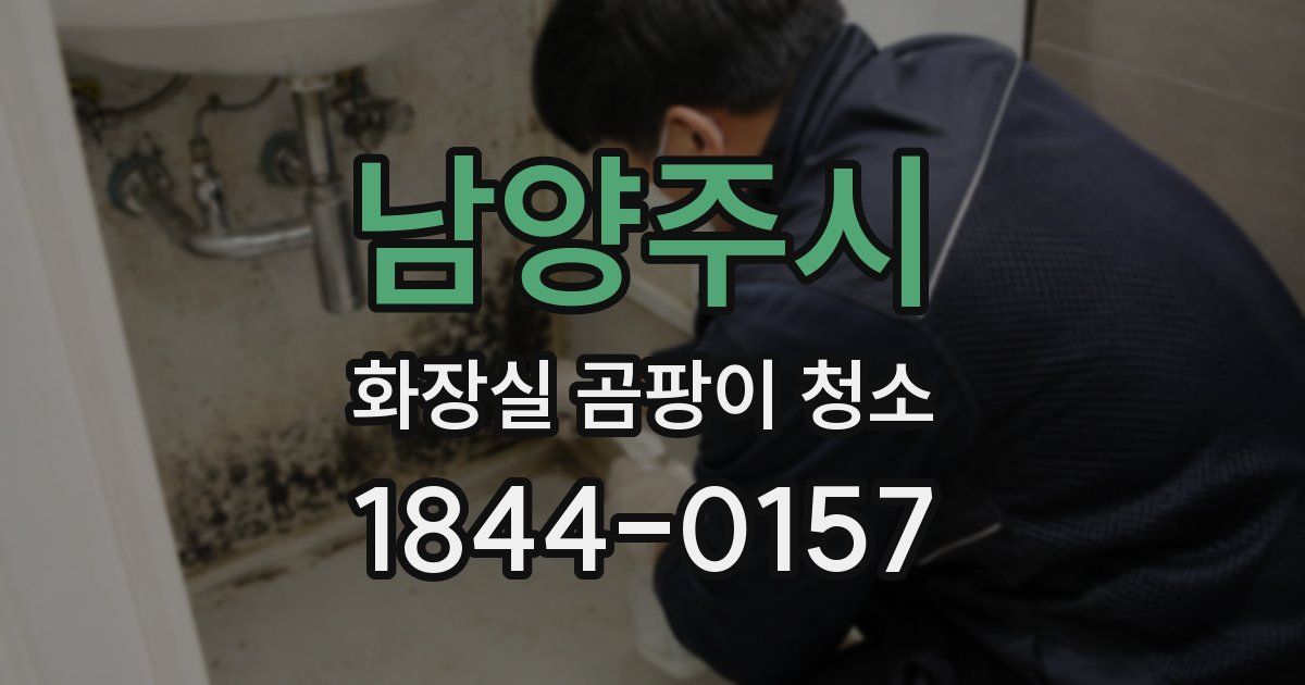 남양주시 화장실 곰팡이 청소