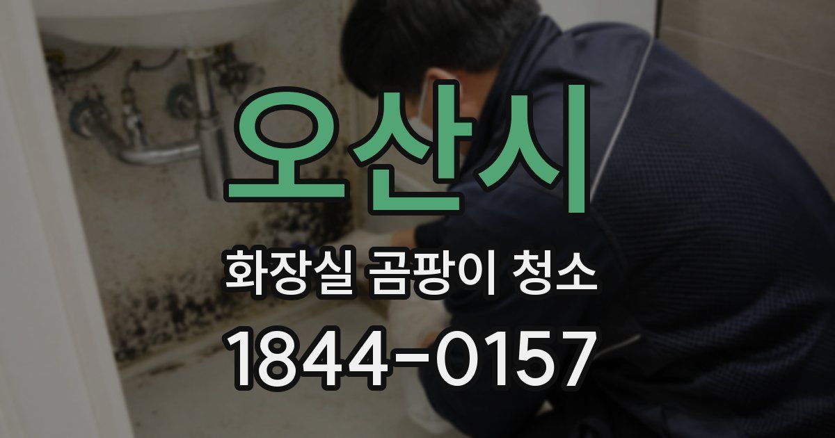 오산시 화장실 곰팡이 청소