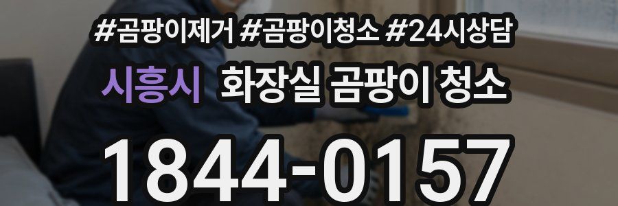 시흥시 화장실 곰팡이 청소