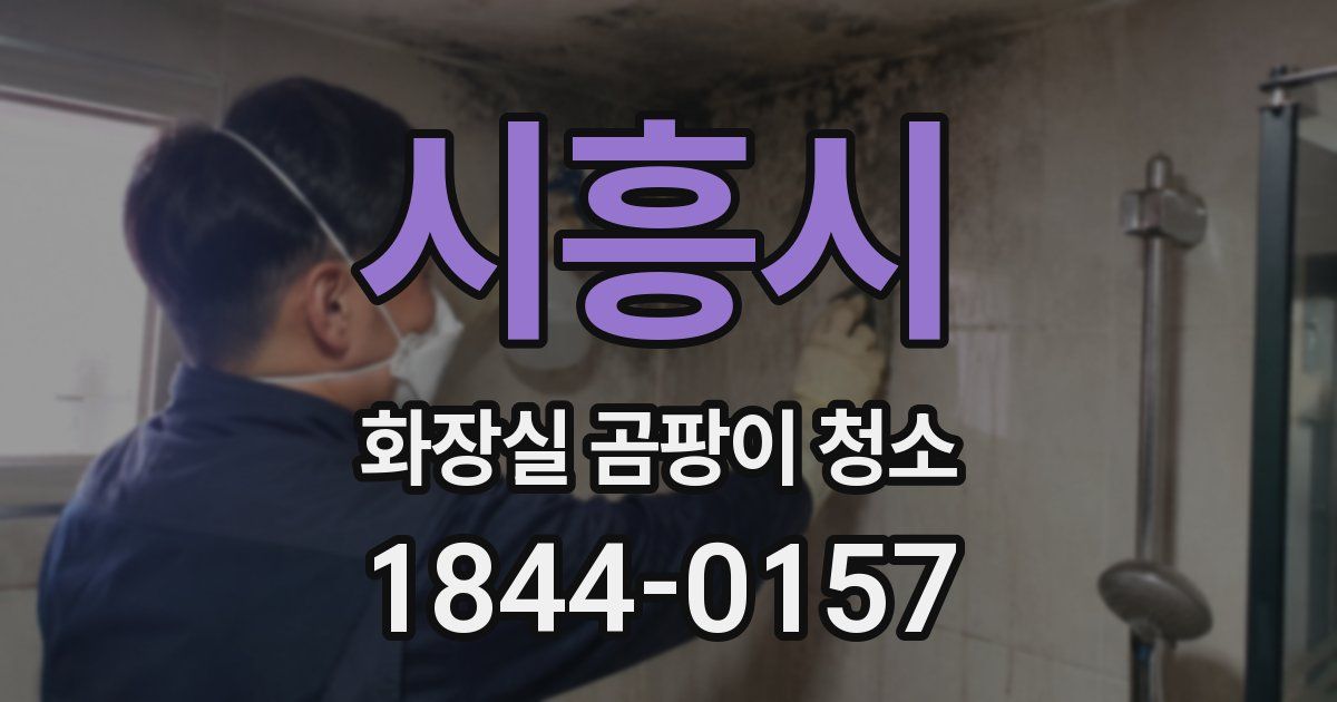 시흥시 화장실 곰팡이 청소