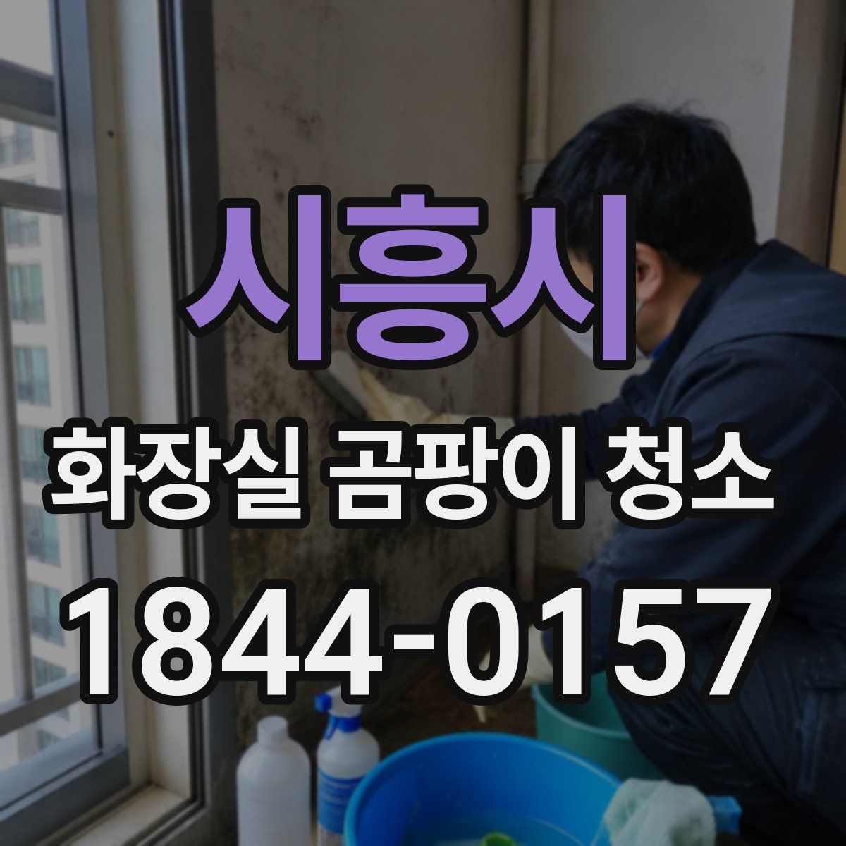 시흥시 화장실 곰팡이 청소
