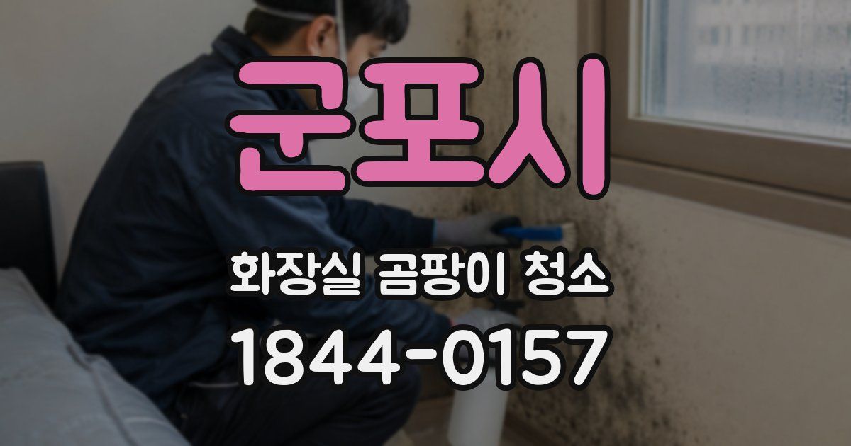 군포시 화장실 곰팡이 청소
