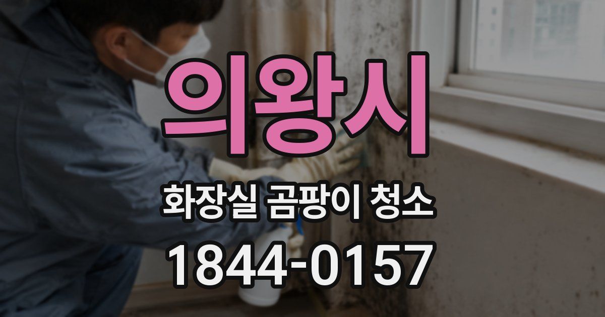 의왕시 화장실 곰팡이 청소